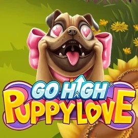 Play Go High Puppy Love slot by RubyPlay on www.king-maker-casino.org