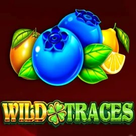 Wild Traces online slot from Amusnet Interactive – play at www.king-maker-casino.org